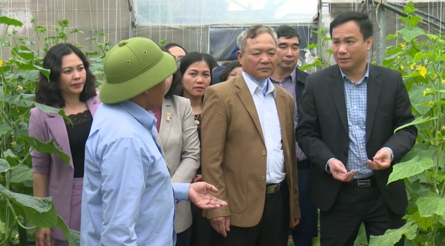 Chủ tịch UBND tỉnh động viên các đơn vị sản xuất nông nghiệp tại Gia Lộc